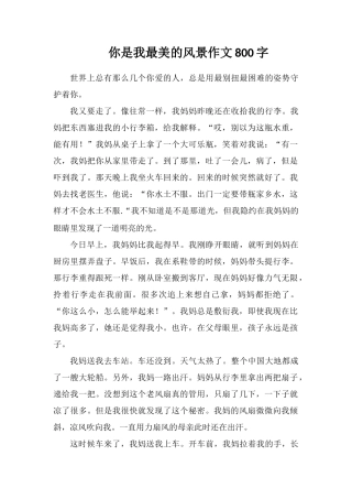 你是我最美的风景作文800字