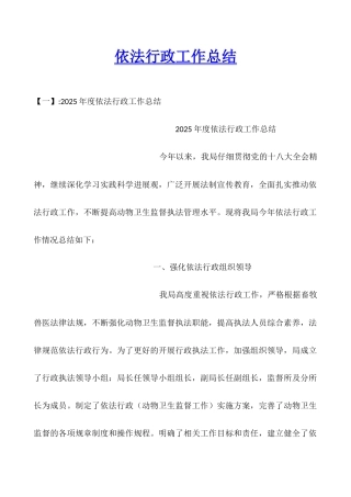 依法行政工作总结