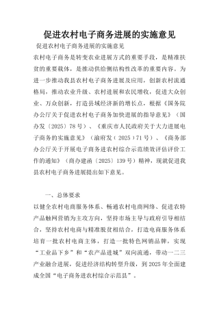 促进农村电子商务发展的实施意见