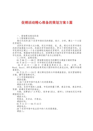 促销活动精心准备的策划方案篇