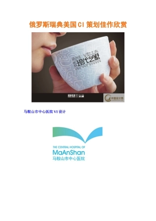 俄罗斯瑞典美国中国CI策划佳作欣赏