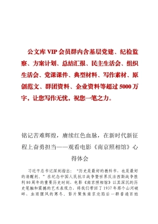 铭记苦难辉煌，赓续红色血脉，在新时代新征程上奋勇担当——观看电影《南京照相馆》心得体会定