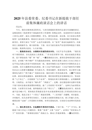 2025年县委常委、纪委书记在新提拔干部任前集体廉政谈话会上的讲话
