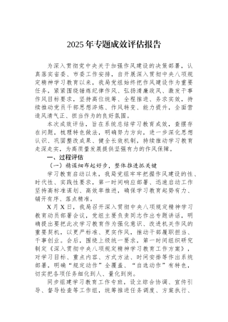 2025年专题成效评估报告