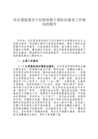 区纪委监委关于纪检监察干部队伍建设工作情况的报告