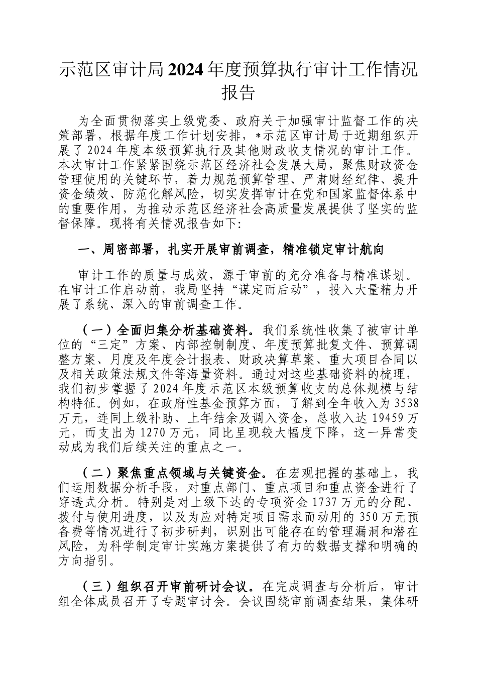 示范区审计局2024年度预算执行审计工作情况报告_第1页