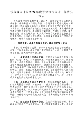 示范区审计局2024年度预算执行审计工作情况报告