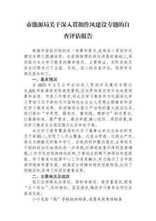 市能源局关于深入贯彻作风建设专题的自查评估报告
