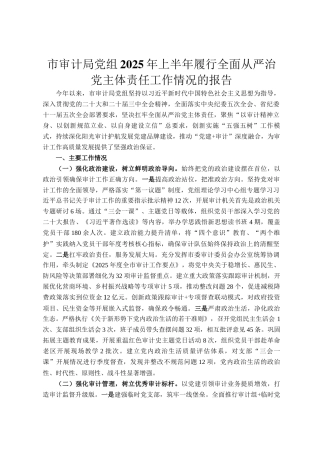 市审计局党组2025年上半年履行全面从严治党主体责任工作情况的报告