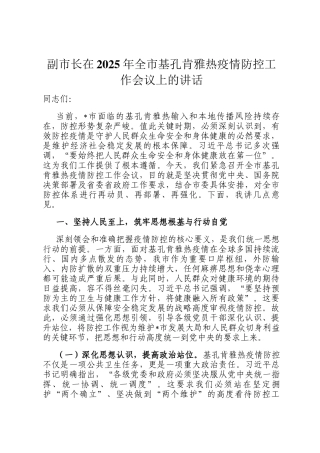 副市长在2025年全市基孔肯雅热疫情防控工作会议上的讲话