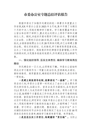 市委办公室专题总结评估报告