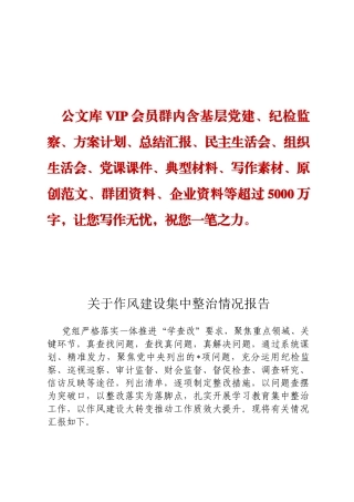 关于作风建设集中整治情况报告定