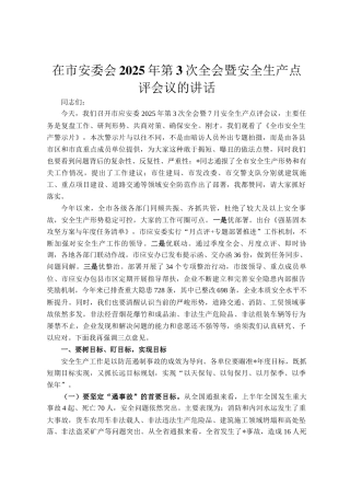 在市安委会2025年第3次全会暨安全生产点评会议的讲话
