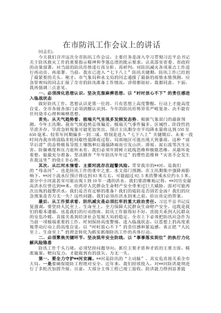 在市防汛工作会议上的讲话