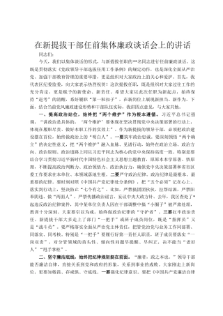 在新提拔干部任前集体廉政谈话会上的讲话