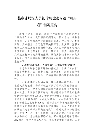 县审计局深入贯彻作风建设专题回头看情况报告