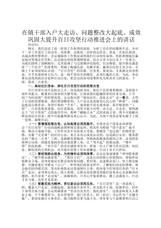 在镇干部入户大走访、问题整改大起底、成效巩固大提升百日攻坚行动推进会上的讲话