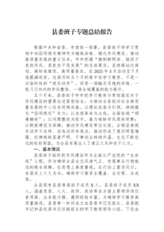 县委班子专题总结报告
