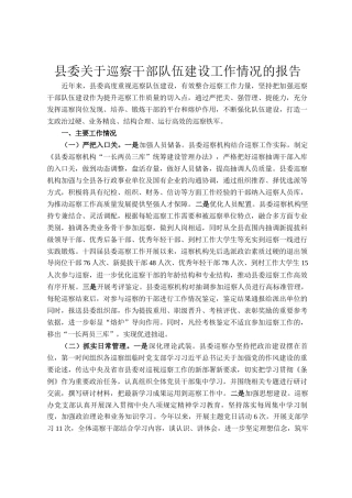 县委关于巡察干部队伍建设工作情况的报告
