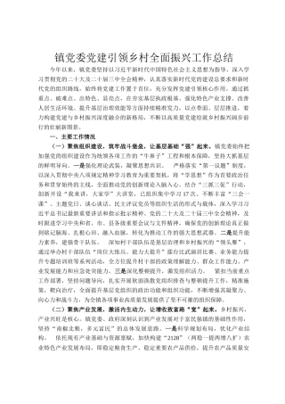 镇党委党建引领乡村全面振兴工作总结