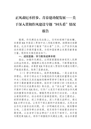 正风肃纪不停步，青春建功促发展——关于深入贯彻作风建设专题“回头看”情况报告