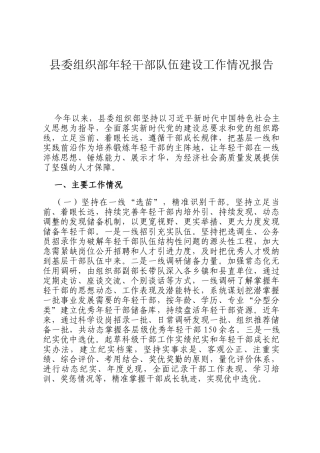 县委组织部年轻干部队伍建设工作情况报告