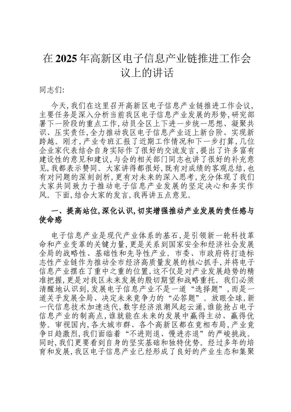 在2025年高新区电子信息产业链推进工作会议上的讲话_第1页