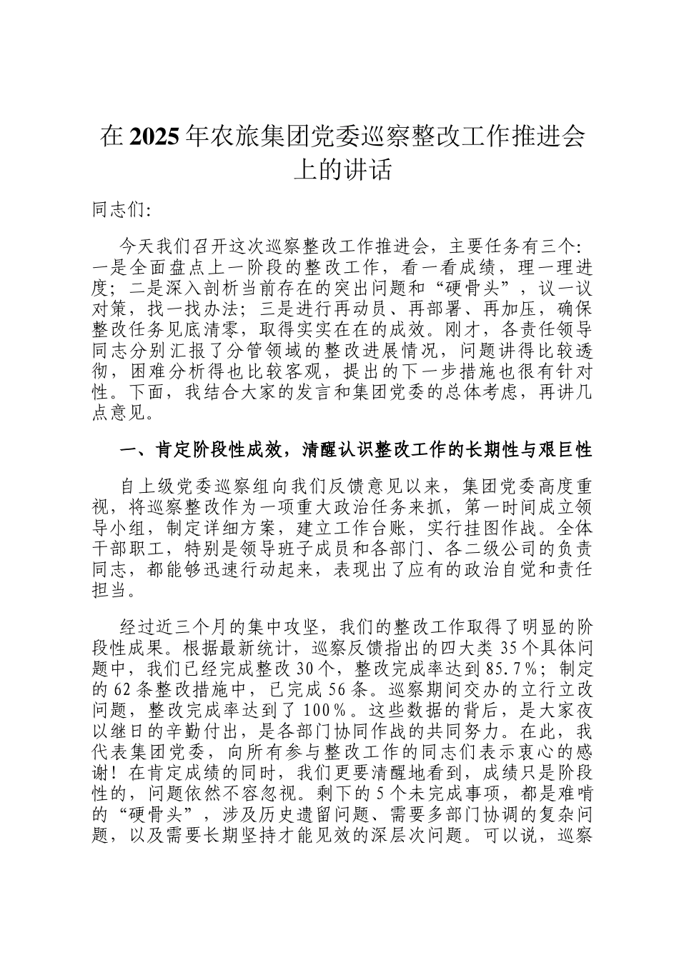 在2025年农旅集团党委巡察整改工作推进会上的讲话_第1页