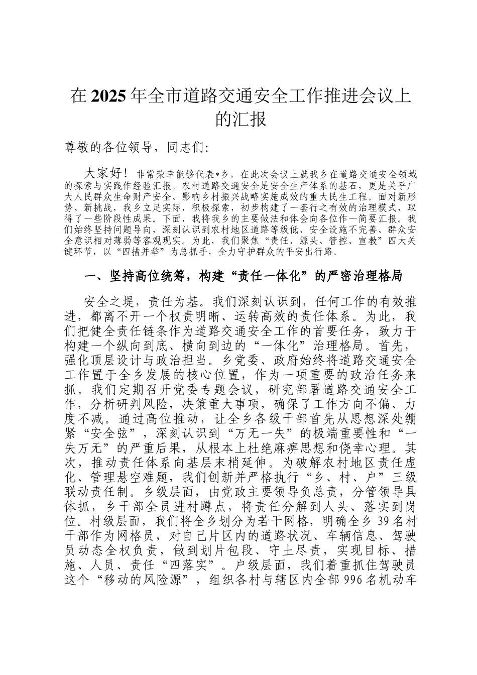 在2025年全市道路交通安全工作推进会议上的汇报_第1页