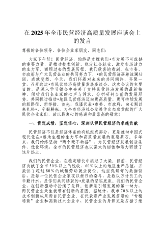 在2025年全市民营经济高质量发展座谈会上的发言