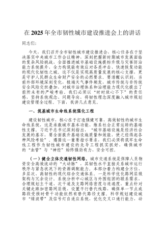 在2025年全市韧性城市建设推进会上的讲话