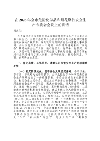 在2025年全市危险化学品和烟花爆竹安全生产专委会会议上的讲话