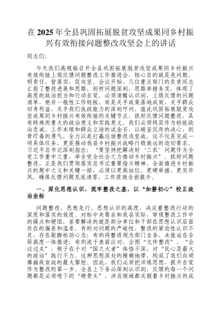 在2025年全县巩固拓展脱贫攻坚成果同乡村振兴有效衔接问题整改攻坚会上的讲话