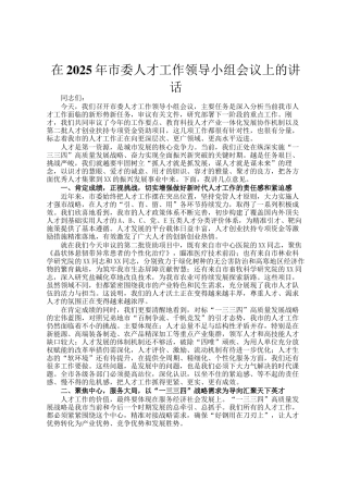 在2025年市委人才工作领导小组会议上的讲话
