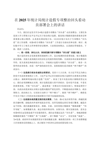 在2025年统计局统计造假专项整治回头看动员部署会上的讲话