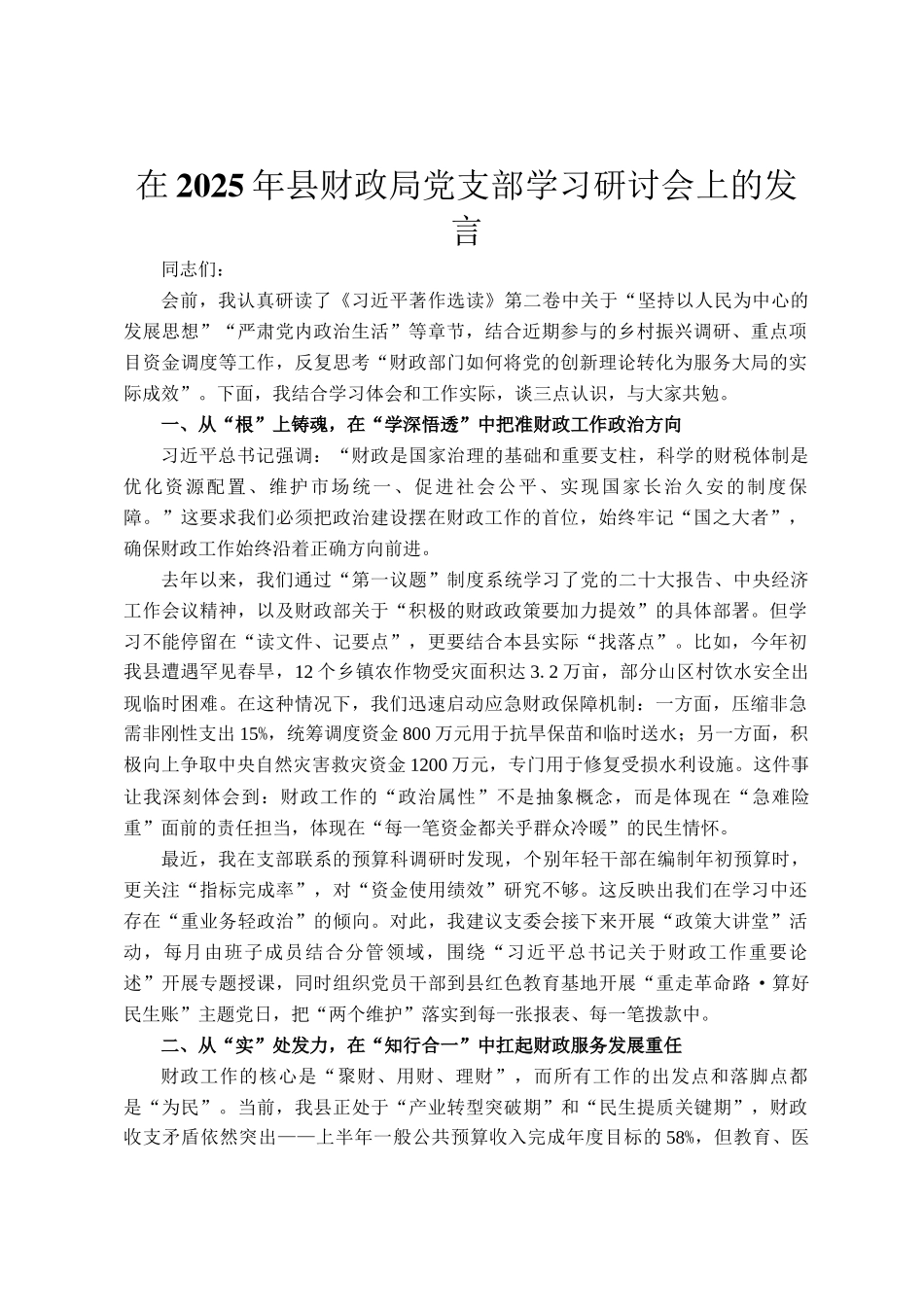 在2025年县财政局党支部学习研讨会上的发言_第1页