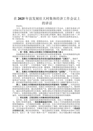 在2025年县发展壮大村集体经济工作会议上的讲话