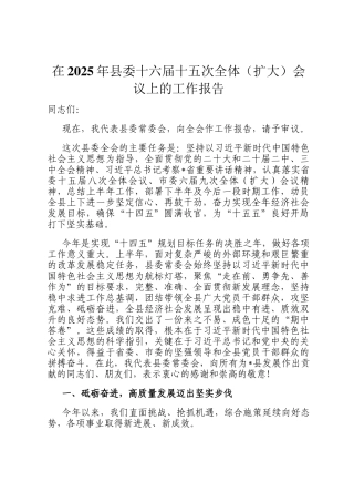 在2025年县委十六届十五次全体（扩大）会议上的工作报告