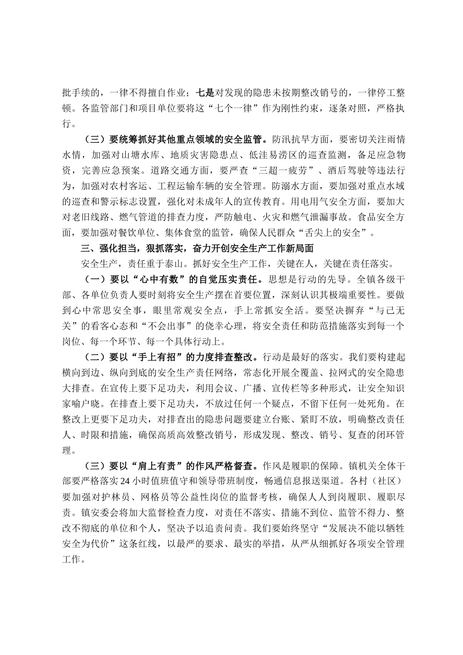 在2025年镇安委会全体成员会议上的讲话_第3页