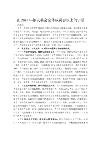 在2025年镇安委会全体成员会议上的讲话