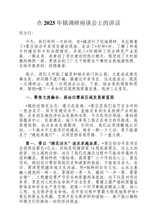 在2025年镇调研座谈会上的讲话