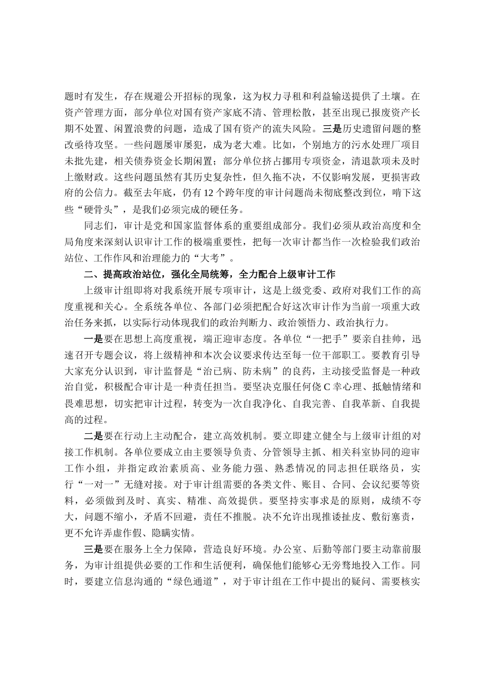 在2025年政府系统审计工作会议上的讲话_第2页