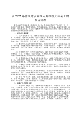在2025年作风建设查摆问题检视交流会上的发言提纲