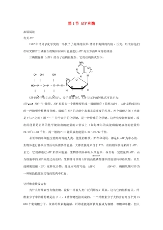 高一生物 4.1《ATP和酶》素材（苏教版必修1）