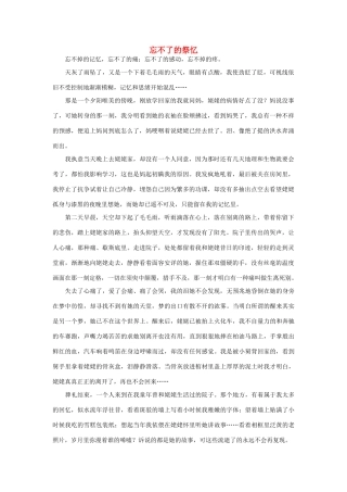 高一语文 忘不了的祭忆作文素材