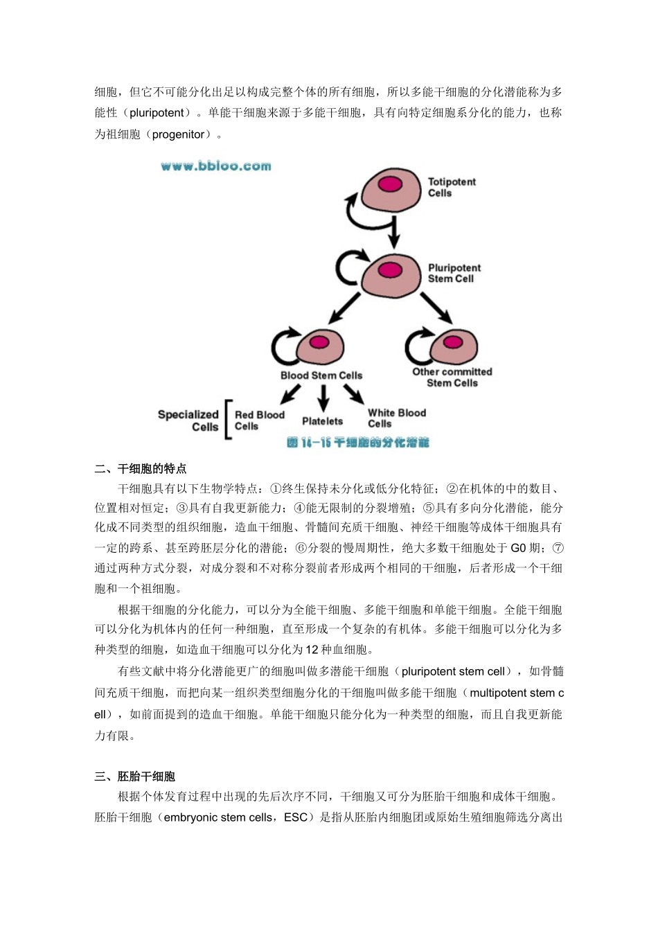 高一生物 6.2《细胞的分化》素材（4）（新人教版必修1）_第2页