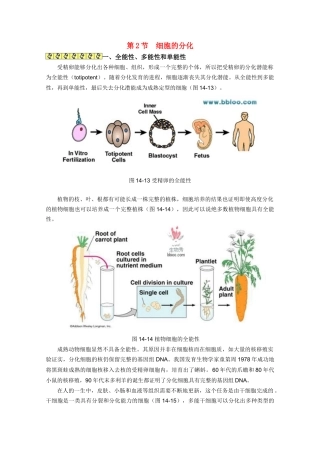 高一生物 6.2《细胞的分化》素材（4）（新人教版必修1）