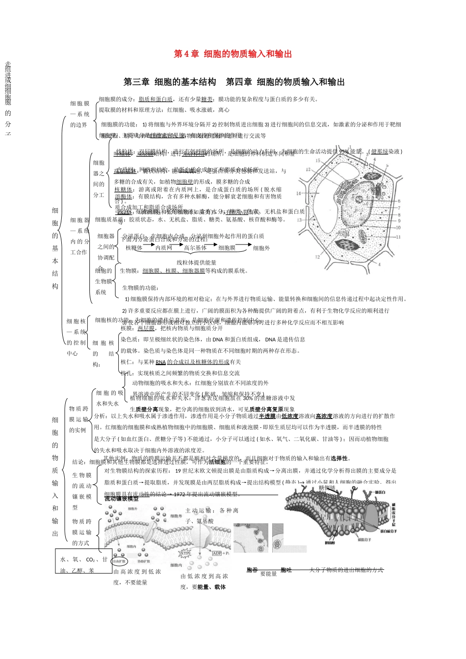 高一生物 第4章《细胞的物质输入和输出》素材（1）（新人教版必修1）_第1页