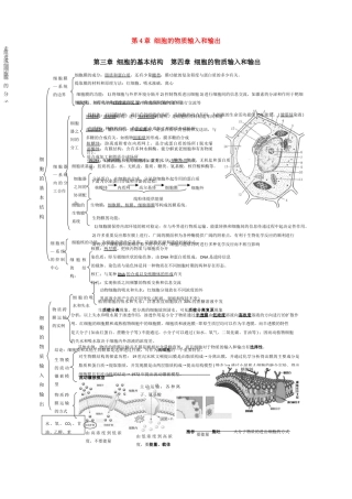 高一生物 第4章《细胞的物质输入和输出》素材（1）（新人教版必修1）
