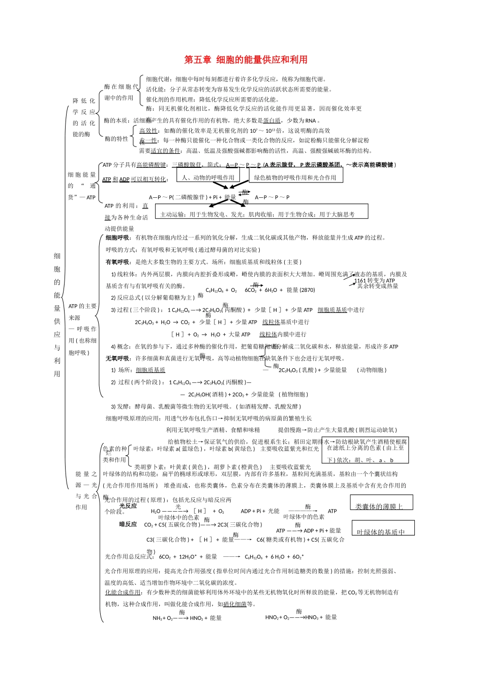 高一生物 第5章《细胞的能量供应和利用》素材（1）（新人教版必修1）_第1页